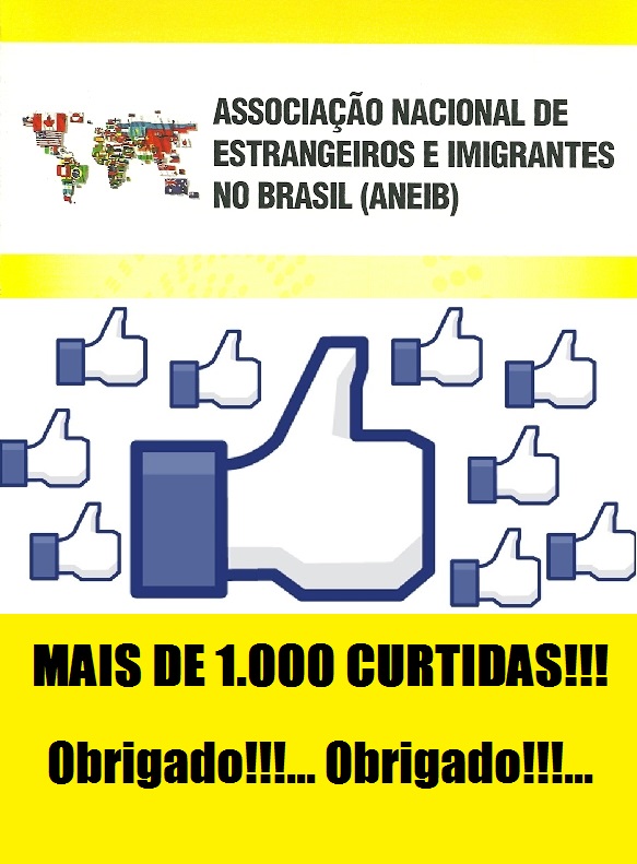 1000 CURTIDAS